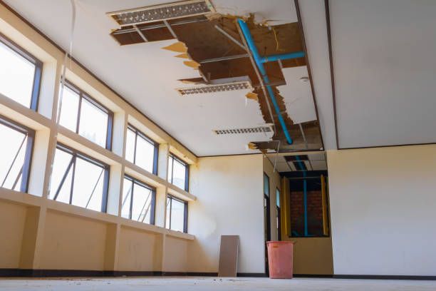 Best Water damage contractors near me  in Monroeville, IN