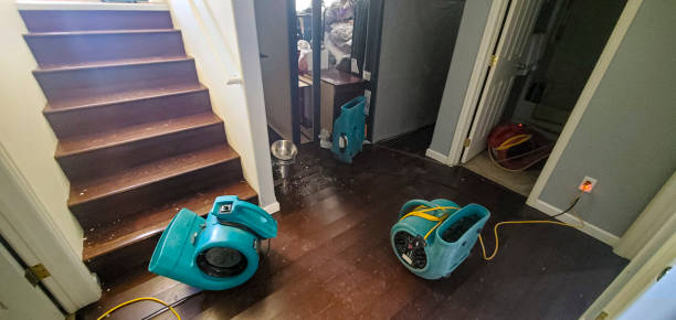 Best Water damage restoration near me  in Monroeville, IN