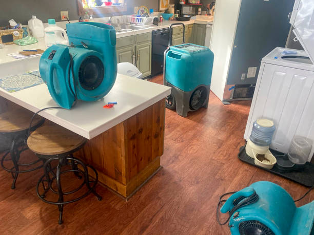Best Emergency water damage restoration  in Monroeville, IN