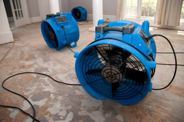 Best Flooded house restoration  in Monroeville, IN
