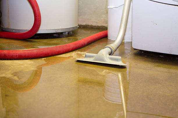 Best Fire Damage Restoration  in Monroeville, IN