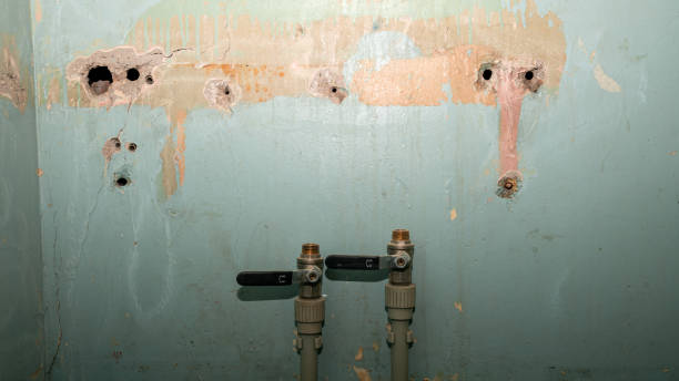 Best Local water damage restoration  in Monroeville, IN