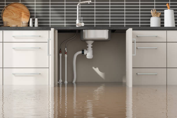 Best Water damage restoration near me  in Monroeville, IN